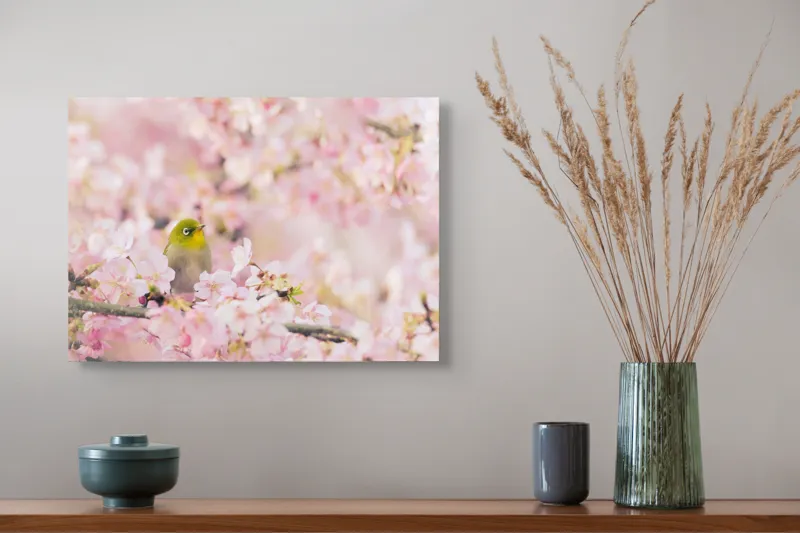 Tablou Canvas, "Pasărea printre flori de cireș", Blând, Primăvară, Delicatețe, Serenitate, Natură, Frumusețe, Puritate, 54 x 39 cm – poza 4