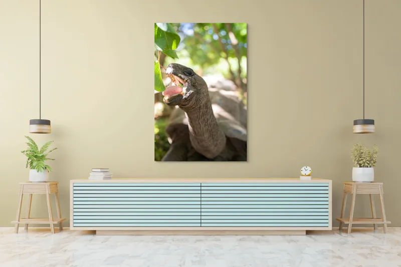 Tablou Canvas, "Țestoasă savurând frunze verzi proaspete", Turtle, Leaves, Sunlight, Forest, Nature, 100 x 150 cm – poza 4