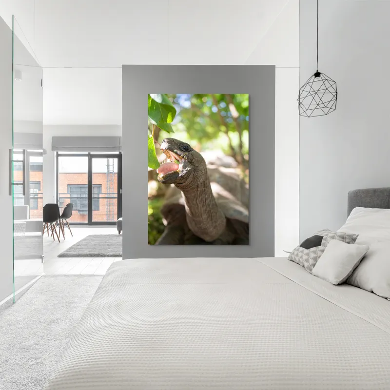 Tablou Canvas, "Țestoasă savurând frunze verzi proaspete", Turtle, Leaves, Sunlight, Forest, Nature, 100 x 150 cm – poza 5