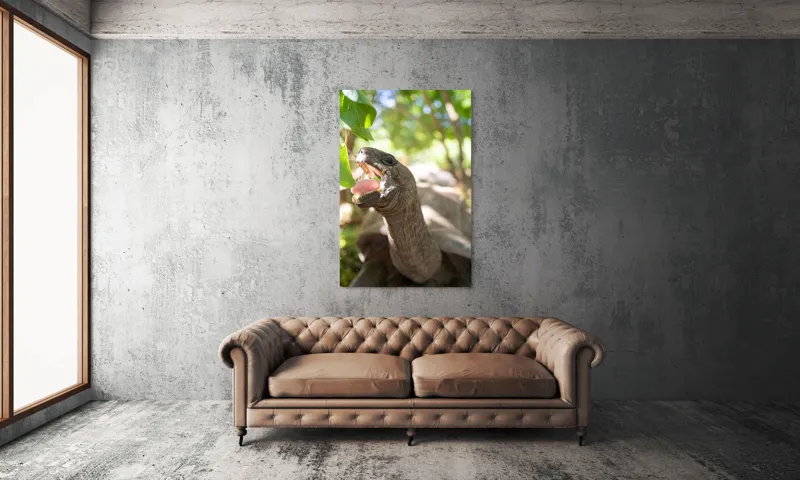 Tablou Canvas, "Țestoasă savurând frunze verzi proaspete", Turtle, Leaves, Sunlight, Forest, Nature, 100 x 150 cm – poza 6