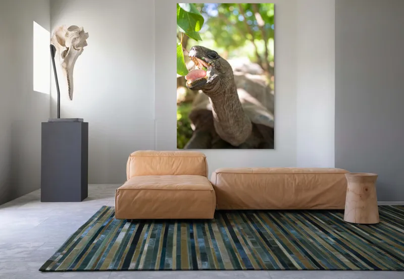 Tablou Canvas, "Țestoasă savurând frunze verzi proaspete", Turtle, Leaves, Sunlight, Forest, Nature, 100 x 150 cm – poza 7