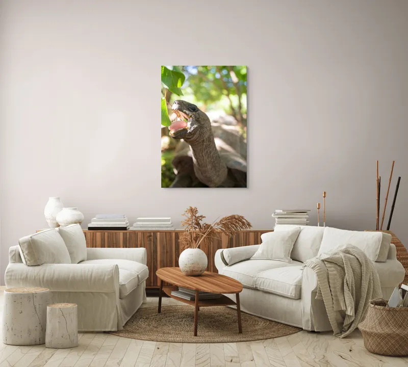Tablou Canvas, "Țestoasă savurând frunze verzi proaspete", Turtle, Leaves, Sunlight, Forest, Nature, 70 x 100 cm – poza 4