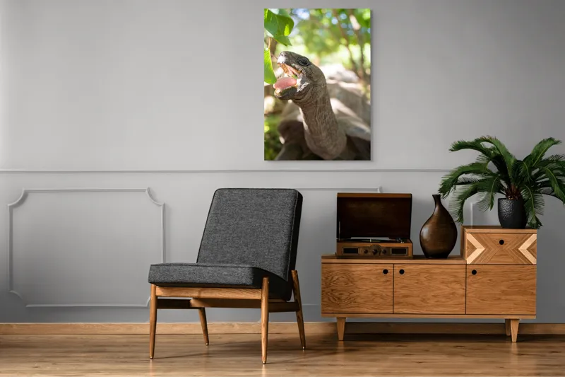 Tablou Canvas, "Țestoasă savurând frunze verzi proaspete", Turtle, Leaves, Sunlight, Forest, Nature, 70 x 100 cm – poza 6