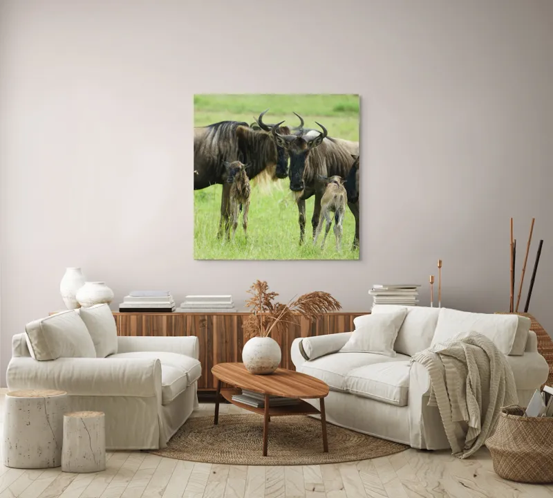 Tablou Canvas, "Gnu în habitatul natural africanului.", Nu pot identifica animalele individuale, dar imaginea arată mai mulți gnu sau antilope în habitatul lor natural, un cadru tipic pentru safari., 100 x 100 cm – poza 3