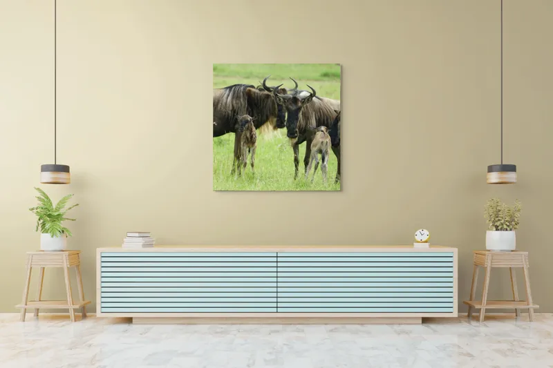 Tablou Canvas, "Gnu în habitatul natural africanului.", Nu pot identifica animalele individuale, dar imaginea arată mai mulți gnu sau antilope în habitatul lor natural, un cadru tipic pentru safari., 100 x 100 cm – poza 5