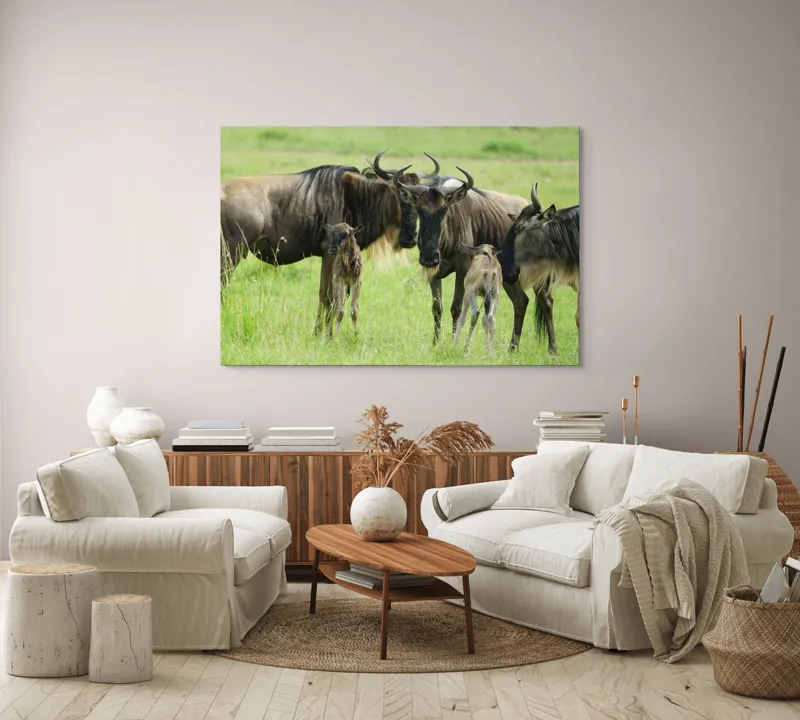 Tablou Canvas, "Gnu în habitatul natural africanului.", Nu pot identifica animalele individuale, dar imaginea arată mai mulți gnu sau antilope în habitatul lor natural, un cadru tipic pentru safari., 150 x 100 cm – poza 3