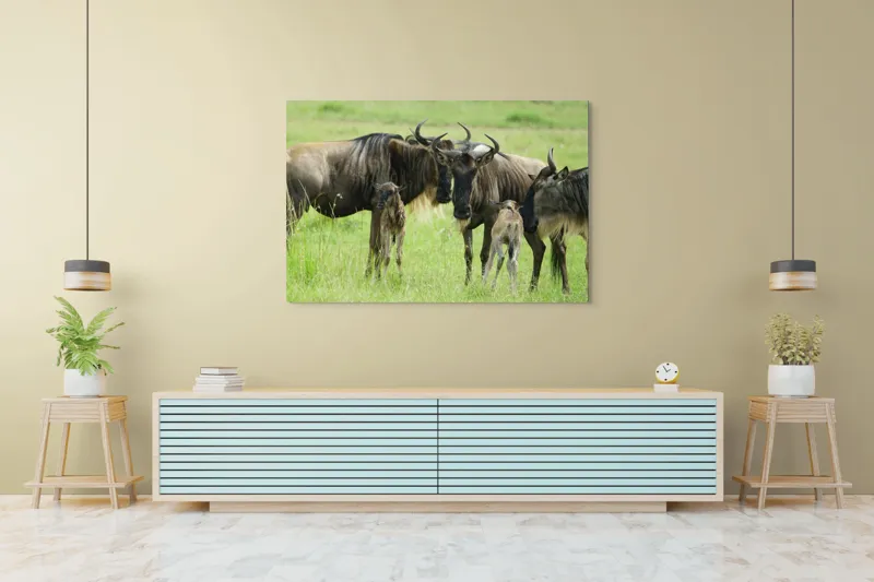 Tablou Canvas, "Gnu în habitatul natural africanului.", Nu pot identifica animalele individuale, dar imaginea arată mai mulți gnu sau antilope în habitatul lor natural, un cadru tipic pentru safari., 150 x 100 cm – poza 6