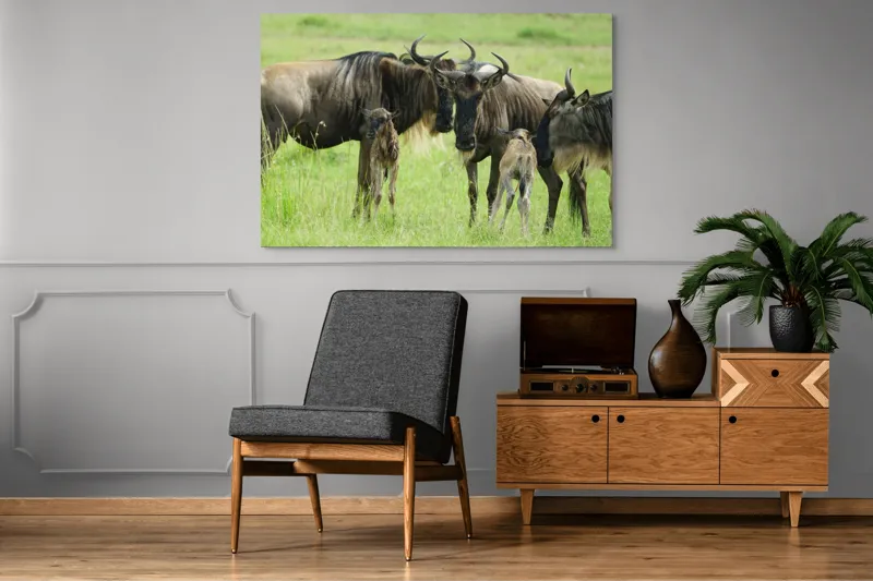 Tablou Canvas, "Gnu în habitatul natural africanului.", Nu pot identifica animalele individuale, dar imaginea arată mai mulți gnu sau antilope în habitatul lor natural, un cadru tipic pentru safari., 150 x 100 cm – poza 8