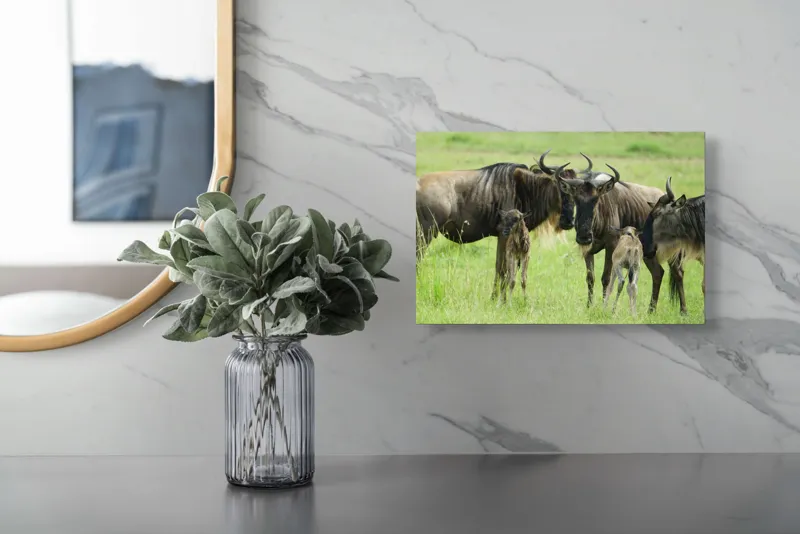 Tablou Canvas, "Gnu în habitatul natural africanului.", Nu pot identifica animalele individuale, dar imaginea arată mai mulți gnu sau antilope în habitatul lor natural, un cadru tipic pentru safari., 39 x 26 cm – poza 5