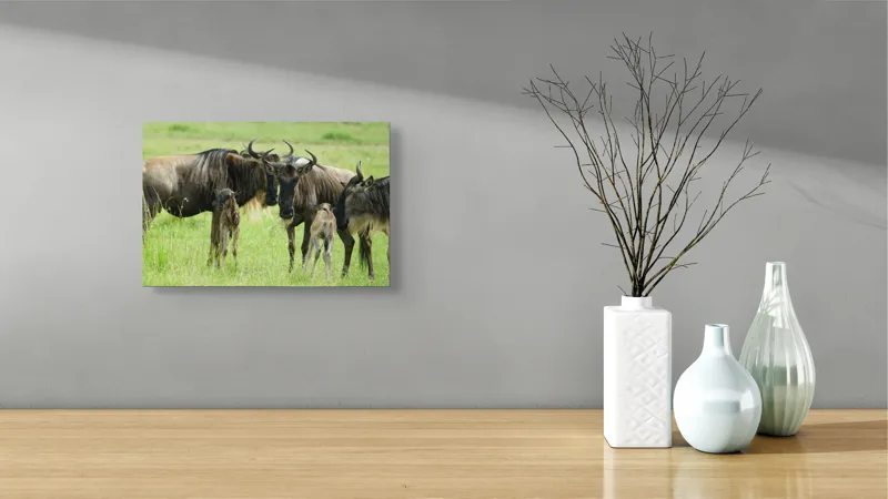 Tablou Canvas, "Gnu în habitatul natural africanului.", Nu pot identifica animalele individuale, dar imaginea arată mai mulți gnu sau antilope în habitatul lor natural, un cadru tipic pentru safari., 39 x 26 cm – poza 8