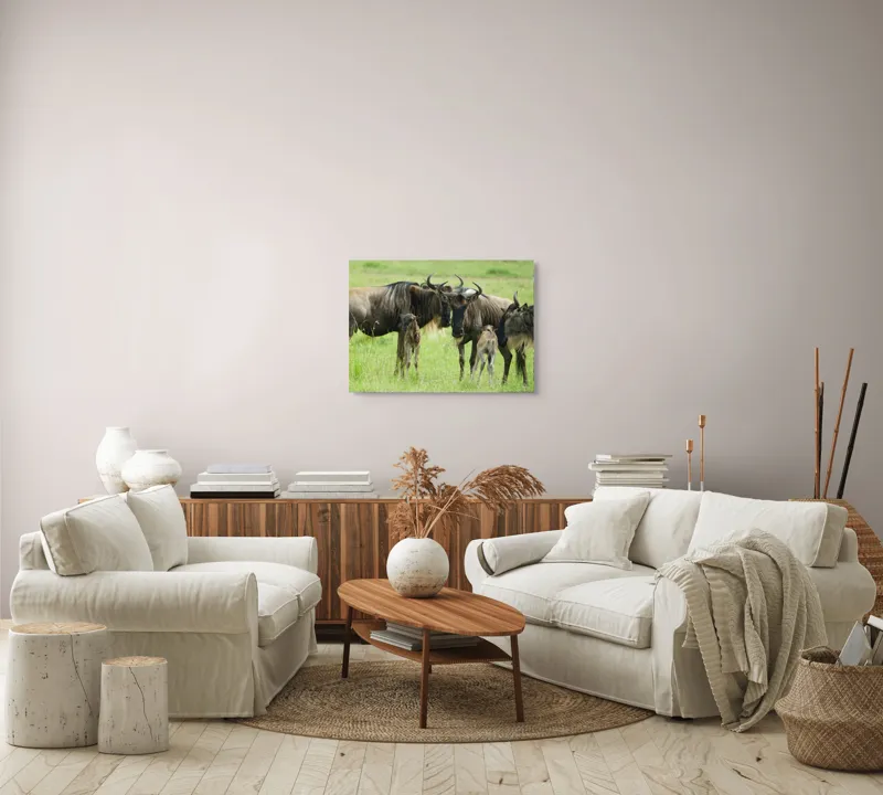 Tablou Canvas, "Gnu în habitatul natural africanului.", Nu pot identifica animalele individuale, dar imaginea arată mai mulți gnu sau antilope în habitatul lor natural, un cadru tipic pentru safari., 70 x 50 cm – poza 6