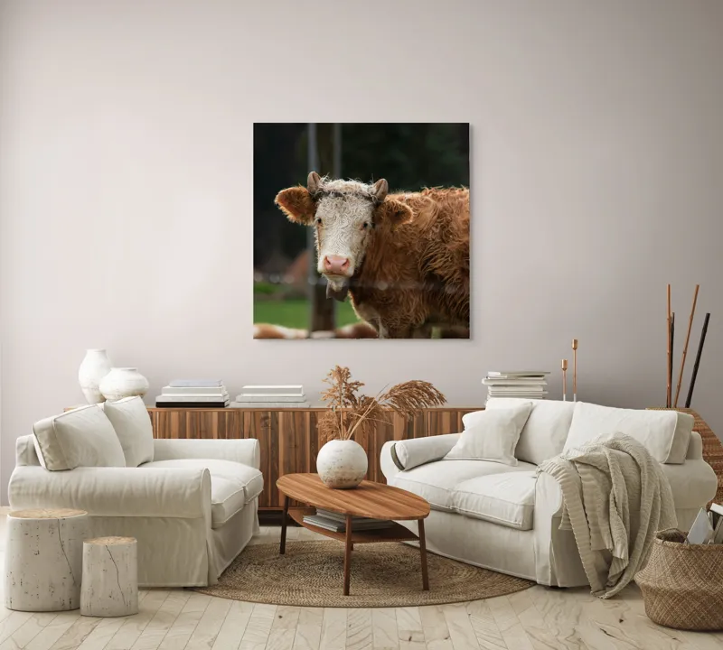 Tablou Canvas, "Vaca în lumina dimineții de toamnă", Curiozitate, Blândețe, Natură, Pășune, Rustic, Relaxare, Vedere., 100 x 100 cm – poza 3