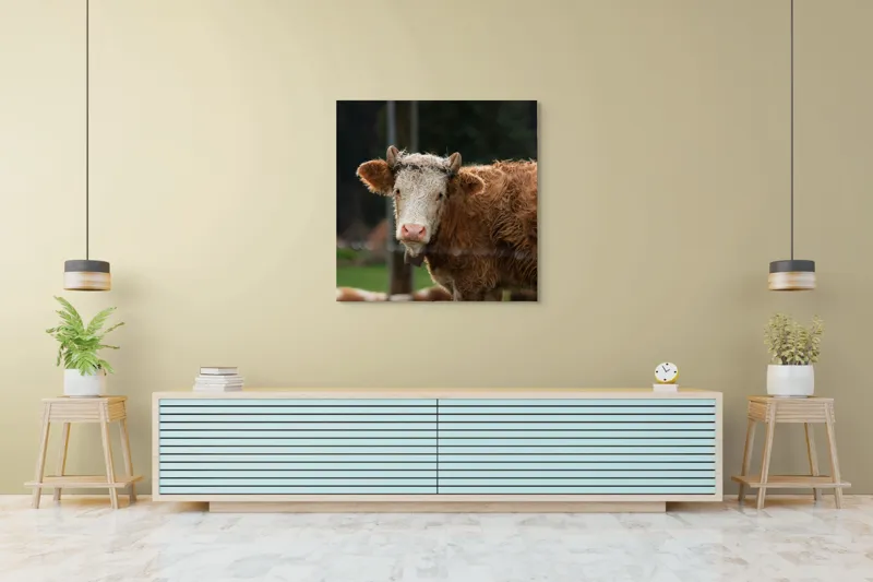 Tablou Canvas, "Vaca în lumina dimineții de toamnă", Curiozitate, Blândețe, Natură, Pășune, Rustic, Relaxare, Vedere., 100 x 100 cm – poza 5
