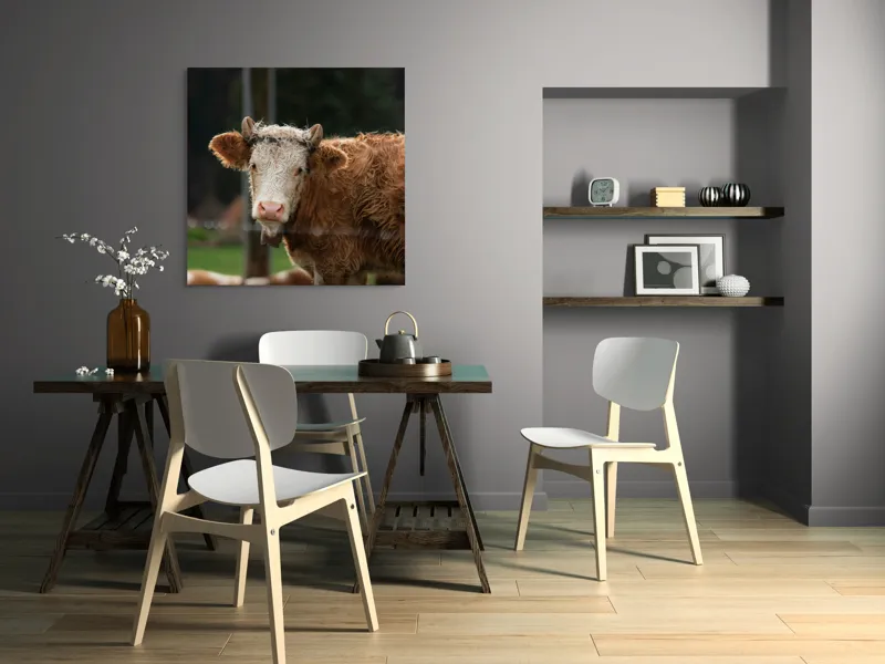 Tablou Canvas, "Vaca în lumina dimineții de toamnă", Curiozitate, Blândețe, Natură, Pășune, Rustic, Relaxare, Vedere., 100 x 100 cm – poza 6
