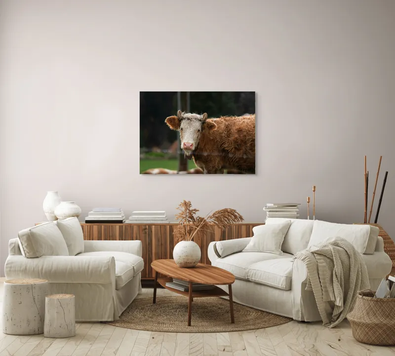 Tablou Canvas, "Vaca în lumina dimineții de toamnă", Curiozitate, Blândețe, Natură, Pășune, Rustic, Relaxare, Vedere., 100 x 70 cm – poza 3