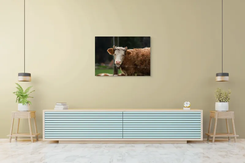 Tablou Canvas, "Vaca în lumina dimineții de toamnă", Curiozitate, Blândețe, Natură, Pășune, Rustic, Relaxare, Vedere., 100 x 70 cm – poza 4