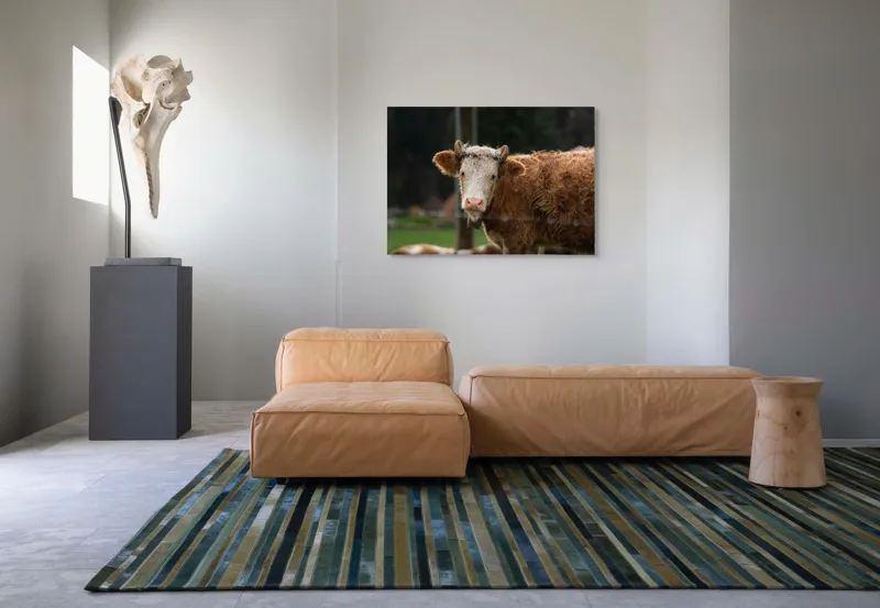 Tablou Canvas, "Vaca în lumina dimineții de toamnă", Curiozitate, Blândețe, Natură, Pășune, Rustic, Relaxare, Vedere., 100 x 70 cm – poza 7
