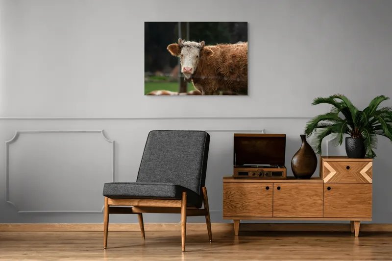 Tablou Canvas, "Vaca în lumina dimineții de toamnă", Curiozitate, Blândețe, Natură, Pășune, Rustic, Relaxare, Vedere., 100 x 70 cm – poza 8