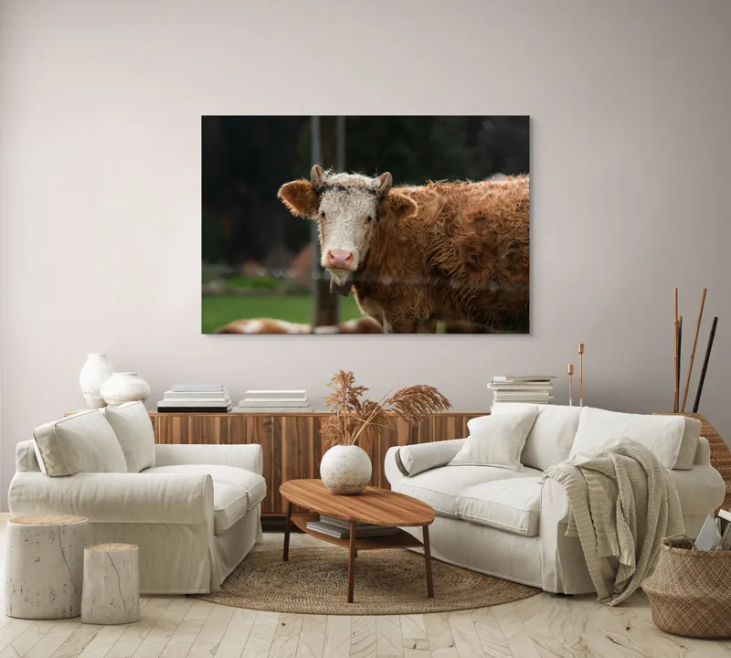 Tablou Canvas, "Vaca în lumina dimineții de toamnă", Curiozitate, Blândețe, Natură, Pășune, Rustic, Relaxare, Vedere., 150 x 100 cm – poza 3