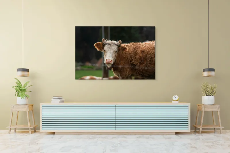 Tablou Canvas, "Vaca în lumina dimineții de toamnă", Curiozitate, Blândețe, Natură, Pășune, Rustic, Relaxare, Vedere., 150 x 100 cm – poza 6