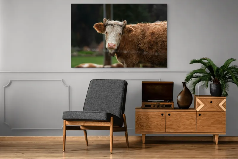 Tablou Canvas, "Vaca în lumina dimineții de toamnă", Curiozitate, Blândețe, Natură, Pășune, Rustic, Relaxare, Vedere., 150 x 100 cm – poza 8