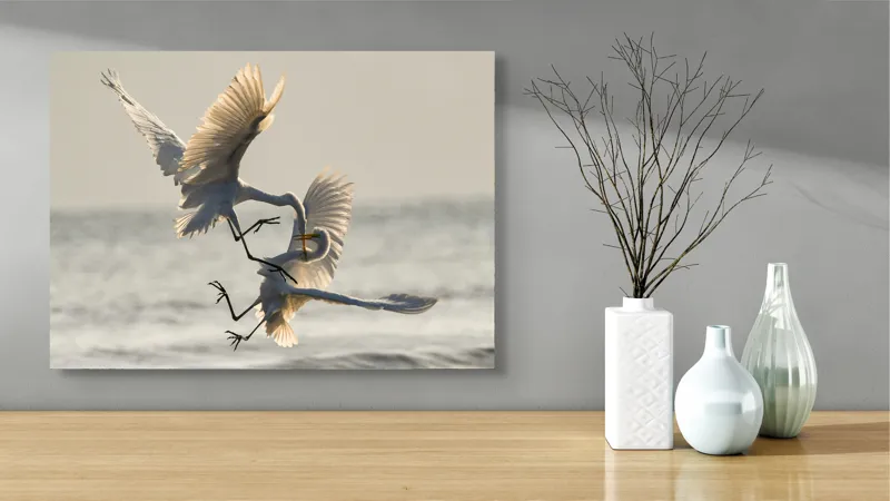 Tablou Canvas, "Dansul gratios al egretei albe", Pasăre, Aripi, Zbor, Lumină, Cer, Mișcare, Graceful, Natură, 70 x 50 cm – poza 3