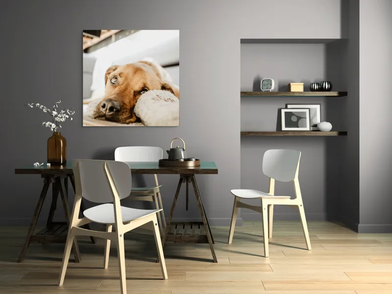 Tablou Canvas, "Cățel somnoros odihnindu-se liniștit", Nu pot să spun cine este în fotografie., 100 x 100 cm – poza 6