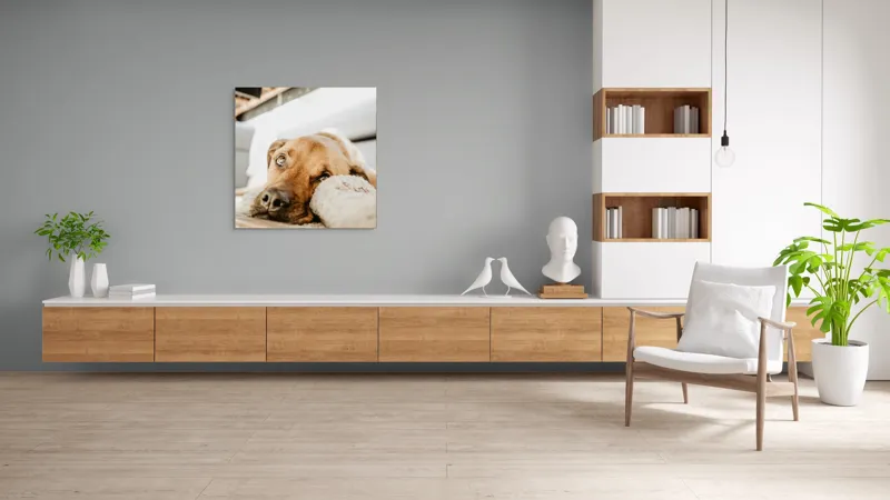Tablou Canvas, "Cățel somnoros odihnindu-se liniștit", Nu pot să spun cine este în fotografie., 100 x 100 cm – poza 8