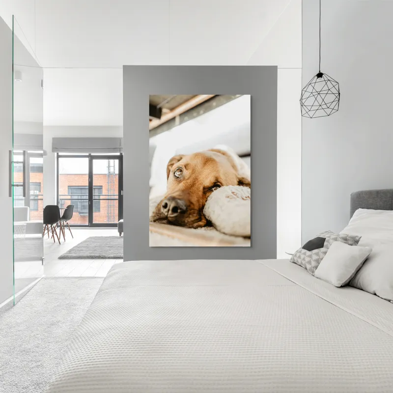 Tablou Canvas, "Cățel somnoros odihnindu-se liniștit", Nu pot să spun cine este în fotografie., 100 x 150 cm – poza 5
