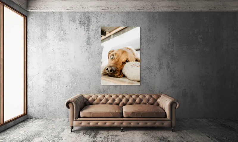 Tablou Canvas, "Cățel somnoros odihnindu-se liniștit", Nu pot să spun cine este în fotografie., 100 x 150 cm – poza 6