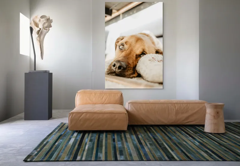 Tablou Canvas, "Cățel somnoros odihnindu-se liniștit", Nu pot să spun cine este în fotografie., 100 x 150 cm – poza 7