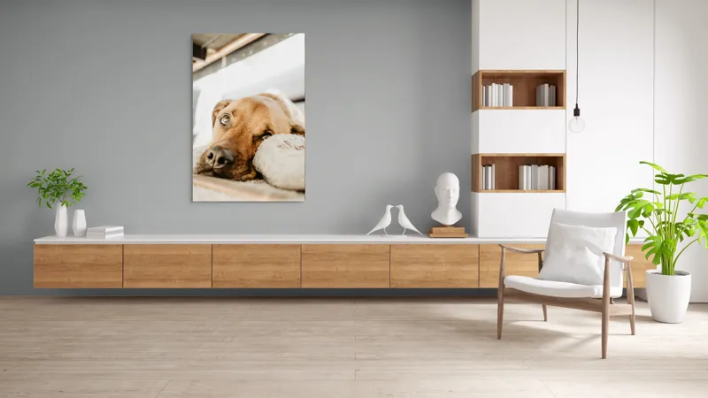 Tablou Canvas, "Cățel somnoros odihnindu-se liniștit", Nu pot să spun cine este în fotografie., 100 x 150 cm – poza 8