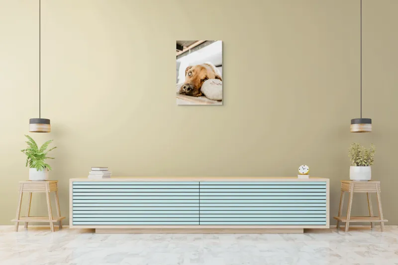 Tablou Canvas, "Cățel somnoros odihnindu-se liniștit", Nu pot să spun cine este în fotografie., 50 x 70 cm – poza 6