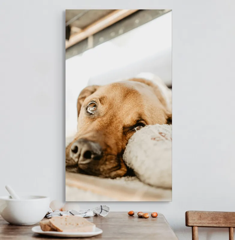 Tablou Canvas, "Cățel somnoros odihnindu-se liniștit", Nu pot să spun cine este în fotografie., 50 x 90 cm – poza 3