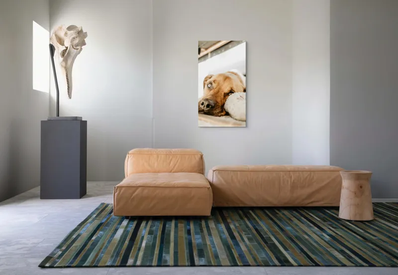 Tablou Canvas, "Cățel somnoros odihnindu-se liniștit", Nu pot să spun cine este în fotografie., 50 x 90 cm – poza 5