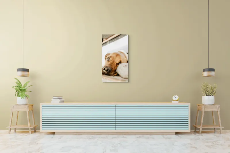 Tablou Canvas, "Cățel somnoros odihnindu-se liniștit", Nu pot să spun cine este în fotografie., 50 x 90 cm – poza 6