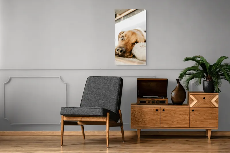 Tablou Canvas, "Cățel somnoros odihnindu-se liniștit", Nu pot să spun cine este în fotografie., 50 x 90 cm – poza 8
