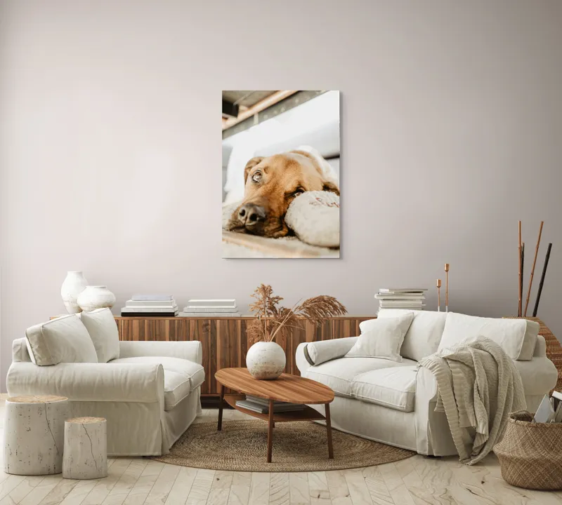Tablou Canvas, "Cățel somnoros odihnindu-se liniștit", Nu pot să spun cine este în fotografie., 70 x 100 cm – poza 4
