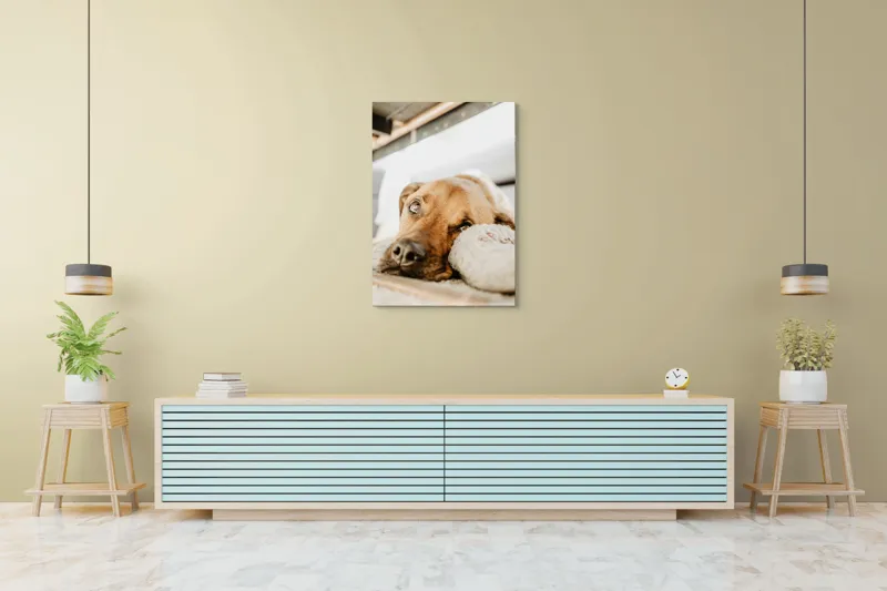 Tablou Canvas, "Cățel somnoros odihnindu-se liniștit", Nu pot să spun cine este în fotografie., 70 x 100 cm – poza 5