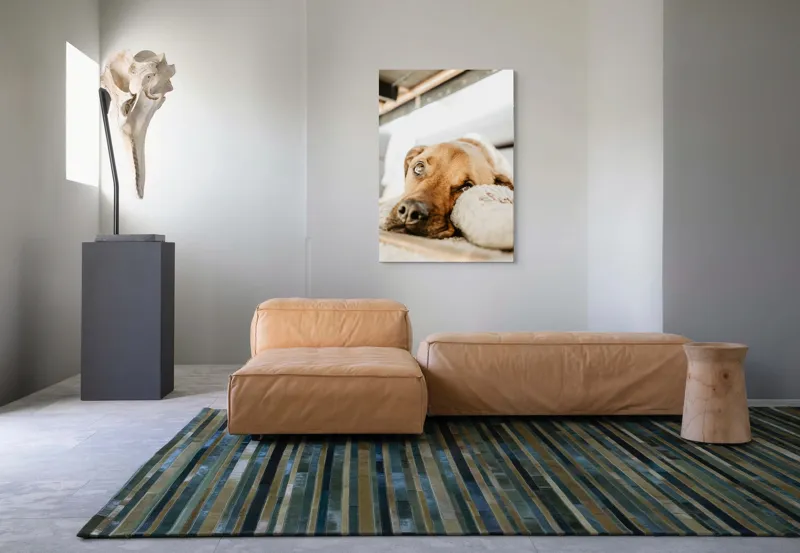 Tablou Canvas, "Cățel somnoros odihnindu-se liniștit", Nu pot să spun cine este în fotografie., 70 x 100 cm – poza 7
