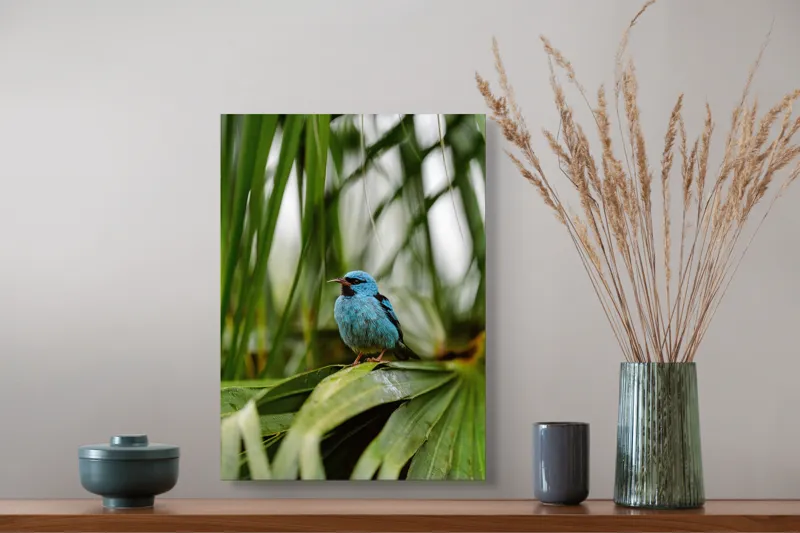 Tablou Canvas, "Pasăre albastră în frunze tropicale", Îmi pare rău, nu pot să îți identific imaginea sau să ofer o descriere a acesteia., 39 x 54 cm – poza 3