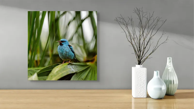 Tablou Canvas, "Pasăre albastră în frunze tropicale", Îmi pare rău, nu pot să îți identific imaginea sau să ofer o descriere a acesteia., 50 x 50 cm – poza 3
