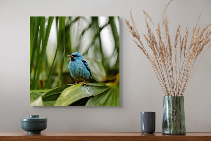 Tablou Canvas, "Pasăre albastră în frunze tropicale", Îmi pare rău, nu pot să îți identific imaginea sau să ofer o descriere a acesteia., 50 x 50 cm – poza 4