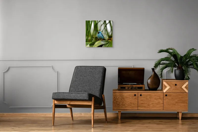 Tablou Canvas, "Pasăre albastră în frunze tropicale", Îmi pare rău, nu pot să îți identific imaginea sau să ofer o descriere a acesteia., 50 x 50 cm – poza 6