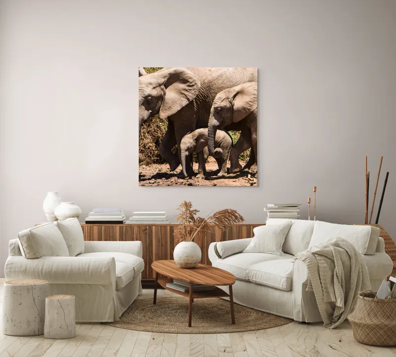 Tablou Canvas, "Elefanți în armonie prin savană", Elefanți, Pământ, Arbori, Familie, Trompe, Urechi, Pași, Căldură, Natură, Pui., 100 x 100 cm – poza 3