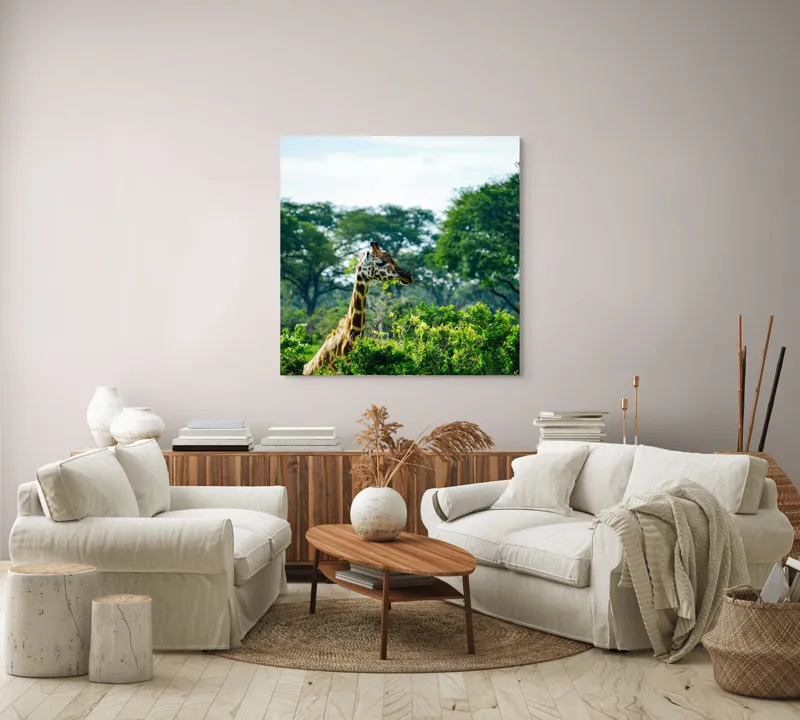 Tablou Canvas, "Girafa printre copaci în savană verde", Giraffe, Greenery, Trees, Sky, Wildlife, Nature, Landscape, 100 x 100 cm – poza 3