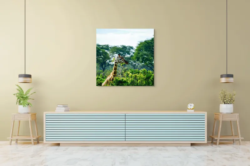 Tablou Canvas, "Girafa printre copaci în savană verde", Giraffe, Greenery, Trees, Sky, Wildlife, Nature, Landscape, 100 x 100 cm – poza 5
