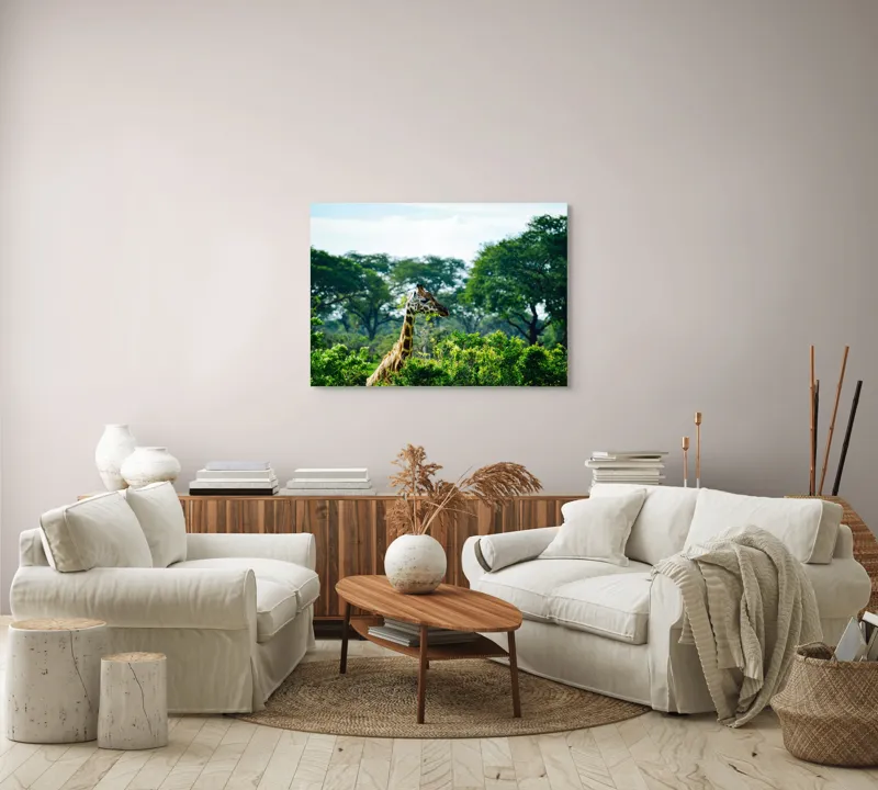 Tablou Canvas, "Girafa printre copaci în savană verde", Giraffe, Greenery, Trees, Sky, Wildlife, Nature, Landscape, 100 x 70 cm – poza 3