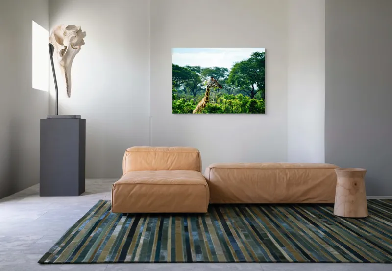 Tablou Canvas, "Girafa printre copaci în savană verde", Giraffe, Greenery, Trees, Sky, Wildlife, Nature, Landscape, 100 x 70 cm – poza 7