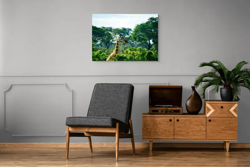 Tablou Canvas, "Girafa printre copaci în savană verde", Giraffe, Greenery, Trees, Sky, Wildlife, Nature, Landscape, 100 x 70 cm – poza 8